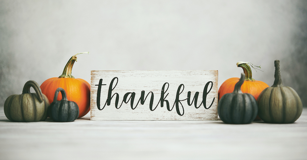 Cloud ERP Thankful